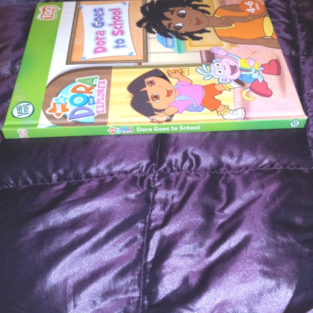 Dora Goes to School - Picture 4 of 6